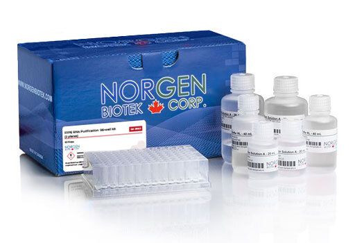 Norgen Biotek™ FFPE RNA Purification 96-Well Kit, 2 Plates