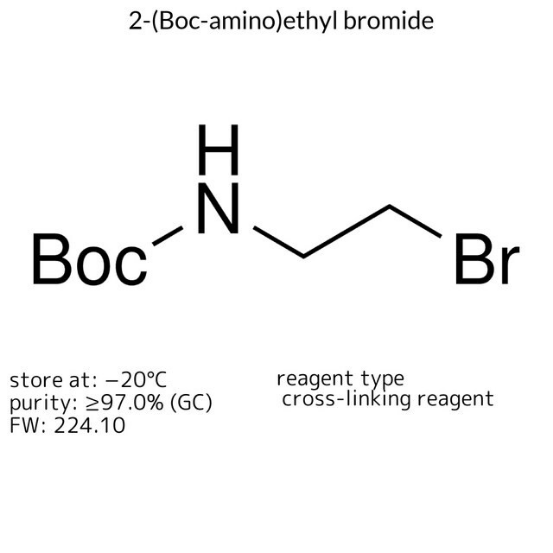 2-(Boc-amino)ethyl bromide, 1 X 1 g (17354-1G)