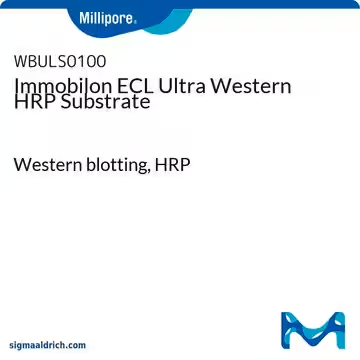 Immobilon ECL Ultra Western HRP Substrate, 1 X 20 mL (WBULS0100-20ML)