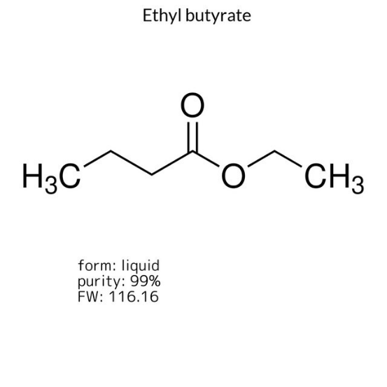 Ethyl butyrate, 1 X 25 mL (E15701-25ML)
