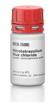 Nitrotetrazolium Blue chloride, 1 X 50 mg (N6639-50MG)