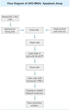 Flow Cytometry Kit for Apoptosis, 1 X 1 kit (APOBRDU-1KT)