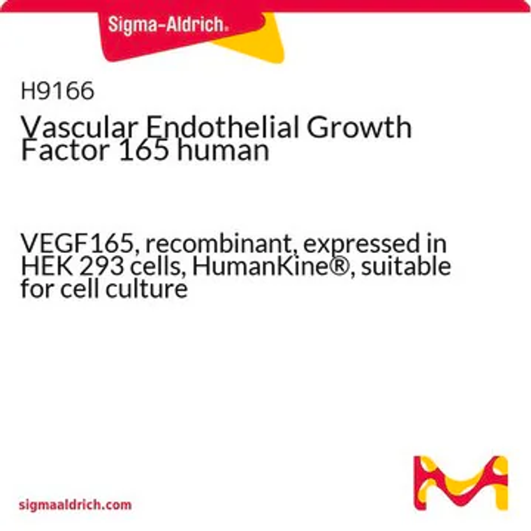 Vascular Endothelial Growth Factor 165 human, 1 X 10 µG (H9166-10UG)