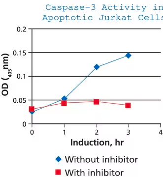 Caspase 3 Assay Kit, Colorimetric, 1 X 1 kit (CASP3C-1KT)