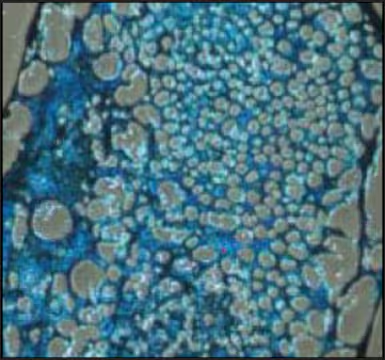 ChondroMAX Differentiation Medium, 100 mL (SCM123-100ML)