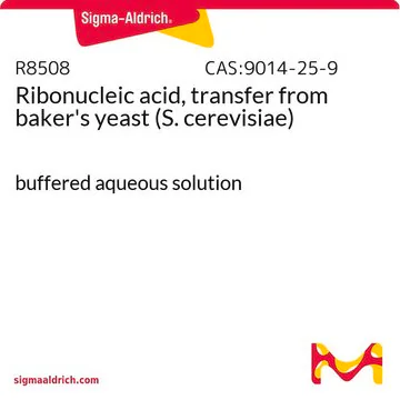 Ribonucleic acid, transfer from baker’s yeast (S. cerevisiae), 1 X 1 mL (R8508-1ML)