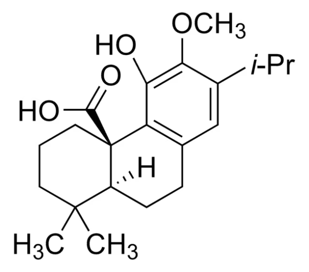 12-O-Methylcarnosic acid, 10 mg (PHL83416-10MG)