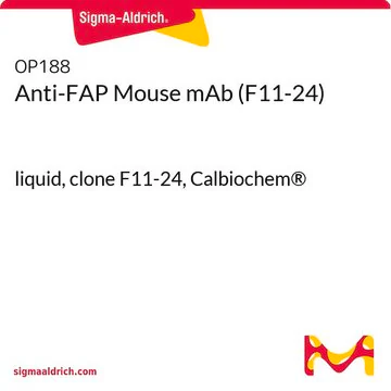 Anti-FAP Mouse mAb (F11-24), 100 µG (OP188-100UG)
