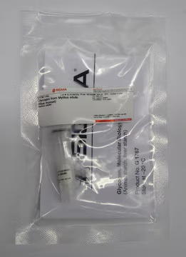 Glycogen from mussel, Mytilus genus, 1 X 1 vial (G1767-1VL)