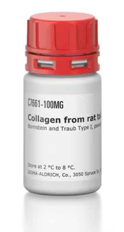Collagen from rat tail, 1 X 50 mg (C7661-50MG)