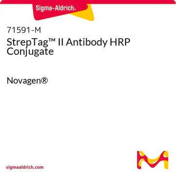 StrepTag™ II Antibody HRP Conjugate, 75 μL (71591-3)