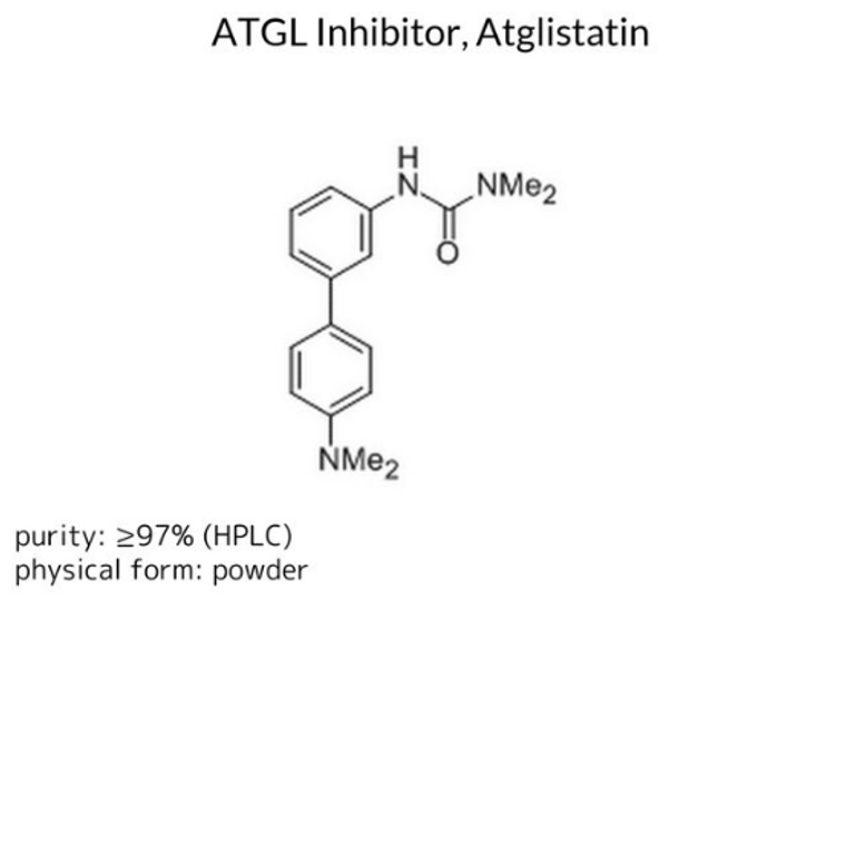ATGL Inhibitor, Atglistatin, 1 X 10 mg (5301510001)