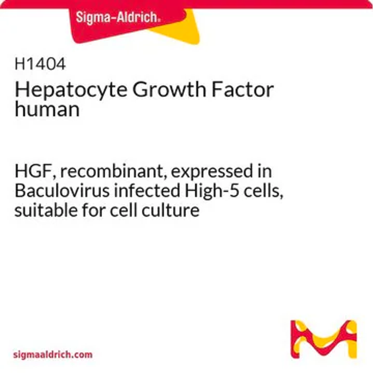 Hepatocyte Growth Factor human, 1 X 5 µG (H1404-5UG)