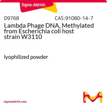 Lambda Phage DNA, Methylated from Escherichia coli host strain W3110, 1 X 5 units (D9768-5UN)