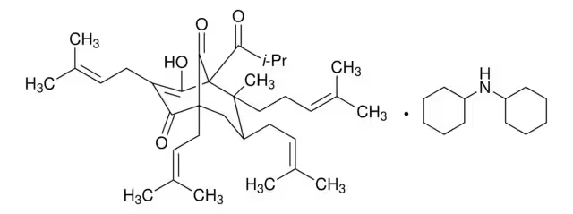 Hyperforin (stable Dicyclohexylammonium salt), 10 mg (PHL89225-10MG)