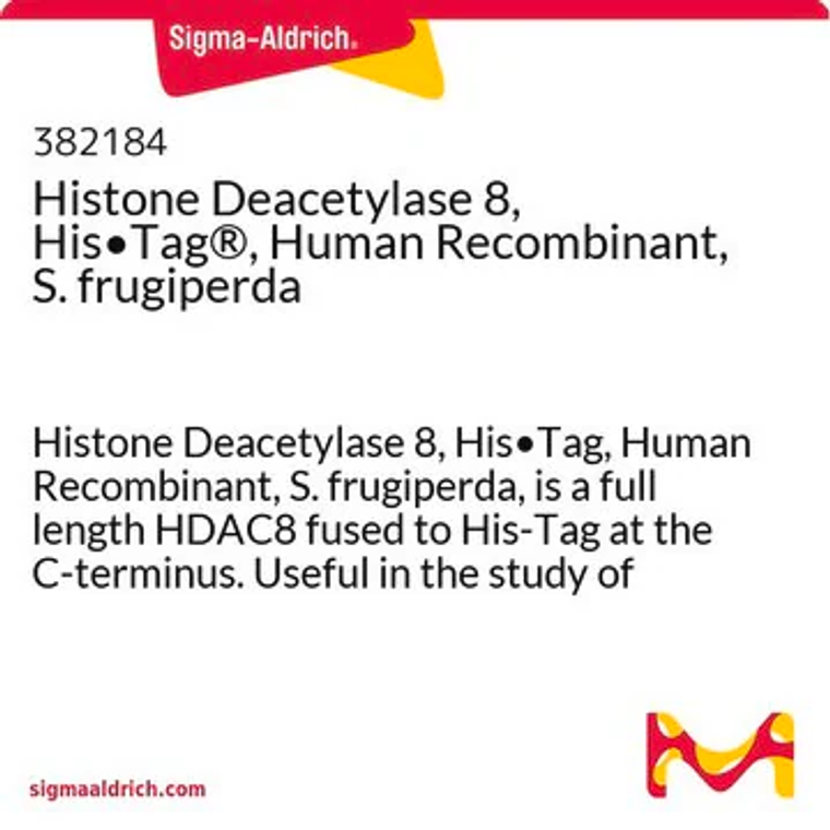 Histone Deacetylase 8, His•Tag®, Human Recombinant, S. frugiperda, 50 µG (382184-50UG)