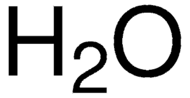 Water, 1 X 100 mL (W1503-100ML)