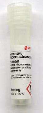 Ribonuclease inhibitor human, 1 X 20000 units (R2520-20KU)
