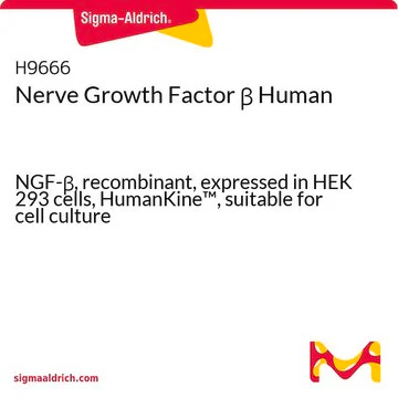 Nerve Growth Factor β Human, 1 X 10 µG (H9666-10UG)
