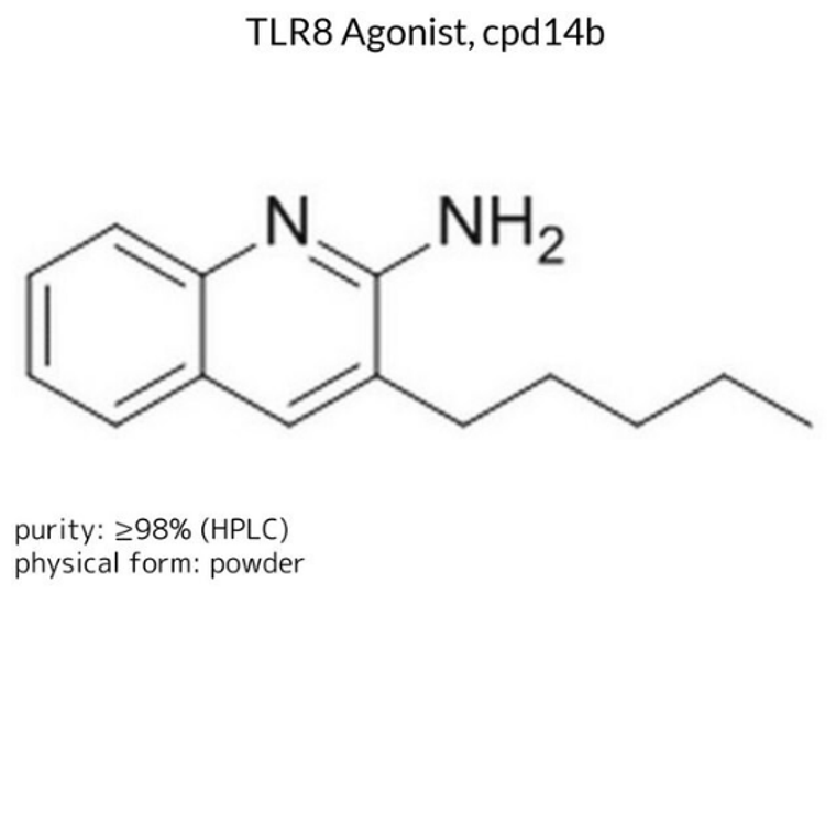 TLR8 Agonist, cpd14b, 1 X 10 mg (5304090001)