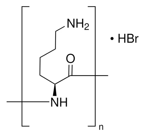 Poly-ʟ-lysine hydrobromide, 1 X 5 mg (P6282-5MG)