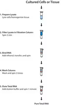 GenElute™ Mammalian Total RNA Miniprep Kit, 1 X 1 kit (RTN350-1KT)