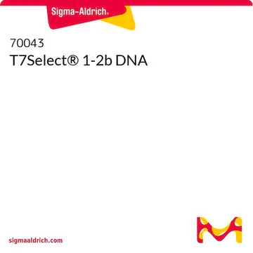 T7Select® 1-2b DNA, 10 µG (70043-3)