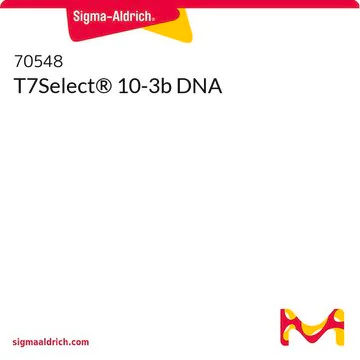 T7Select® 10-3b DNA, 10 µG (70548-3)