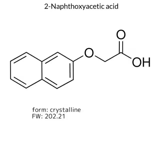 2-Naphthoxyacetic acid, 1 X 25 g (N3019-25G)
