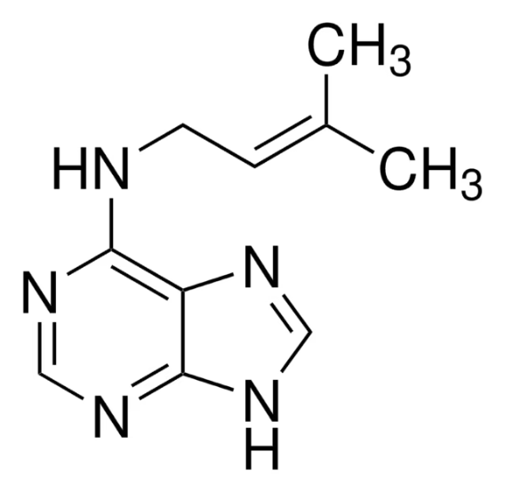 6-(γ,γ-Dimethylallylamino)purine, 1 X 25 g (D5912-25G)