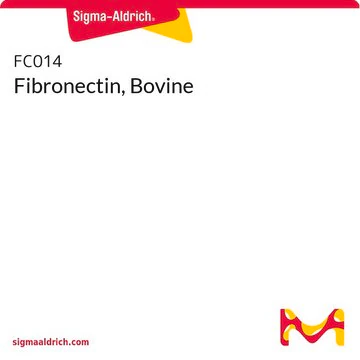Fibronectin, Bovine, 1 X 500 µG (FC014)