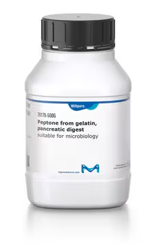 Peptone from gelatin, pancreatic digest, 1 X 500 g (70176-500G)