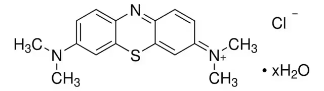 Methylene Blue hydrate, 1 X 1 kg (28514-1KG)