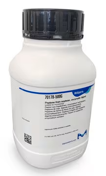 Peptone from soybean, enzymatic digest, 1 X 100 g (70178-100G)