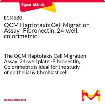 QCM Haptotaxis Cell Migration Assay -Fibronectin, 24-well, colorimetric, 1 X 1 kit (ECM580)