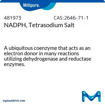 NADPH, Tetrasodium Salt, 1 g (481973-1GM)