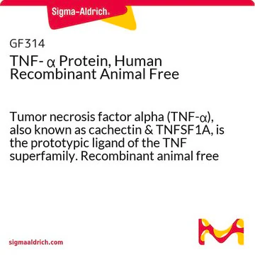 TNF- α Protein, Human Recombinant Animal Free, 1 X 50 µG (GF314)