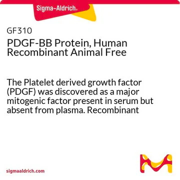 PDGF-BB Protein, Human Recombinant Animal Free, 1 X 10 µG (GF310)