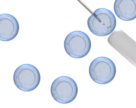 PluriStem C57BL/6N Murine ES Cells, 1 X 2 vials (SCC050)
