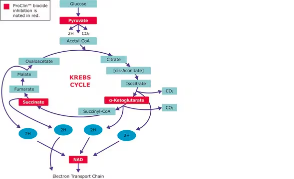 ProClin™ 150, 3 X 5 mL (48121)