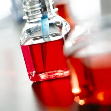 DMEM Complete Medium, with 2mM L-Glut, Sodium Pyruvate, and 10% FBS, 500 mL (SLM-241-B)