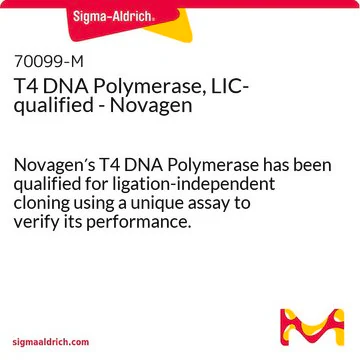 T4 DNA Polymerase, LIC-qualified - Novagen, 1 X 250 U (70099-3)