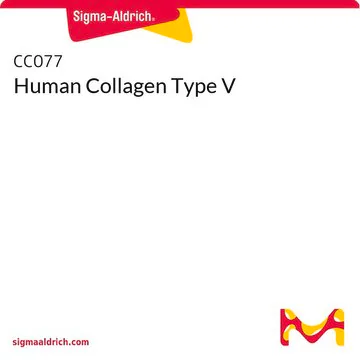 Human Collagen Type V, 1 X 100 µG (CC077)