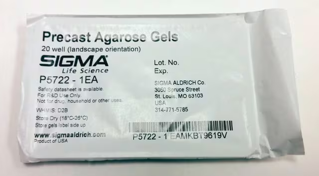 Precast Agarose Gels, 1 X 1 pkg (P5972-1PAK)