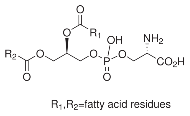 Phosphatidyl-L-serine