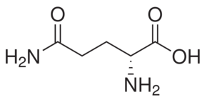 D-Glutamine, ≥98%, 10 G