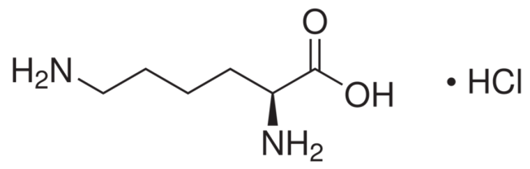L-Lysine Hydrochloride, cell culture reagent