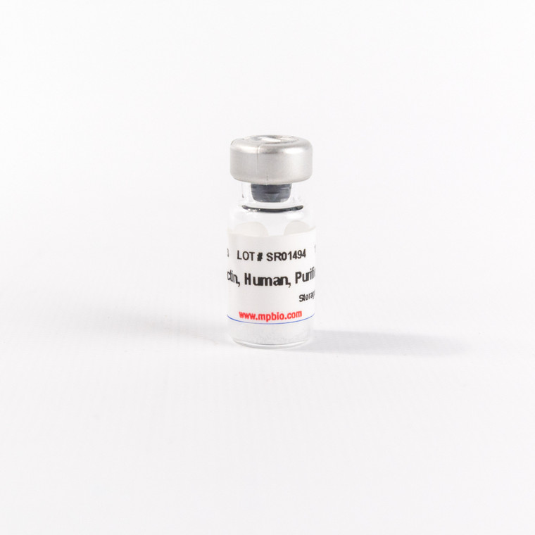 Purified Human Fibronectin, 1 MG