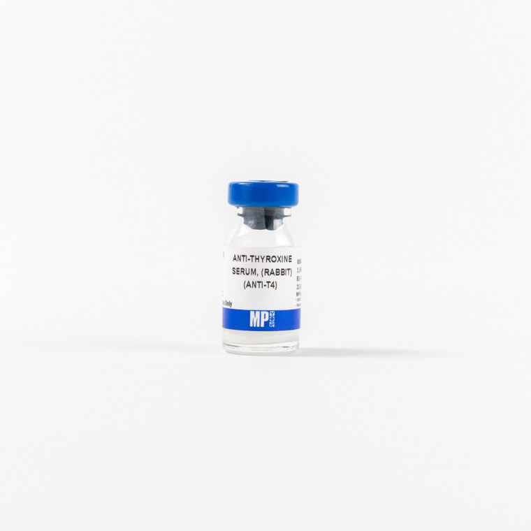 Rabbit anti-thyroxine-BSA antiserum, 1 ML