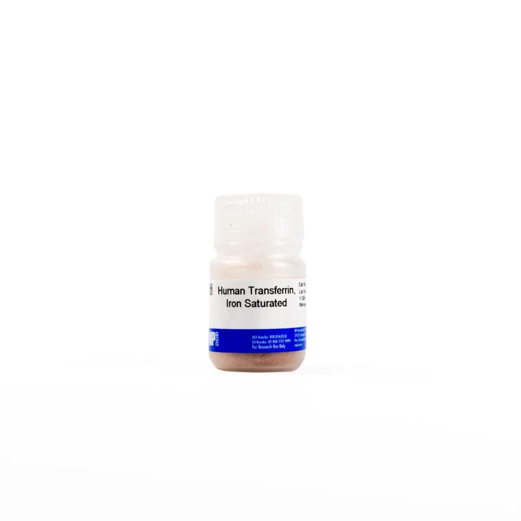 Transferrin, human, iron saturated, 1 G